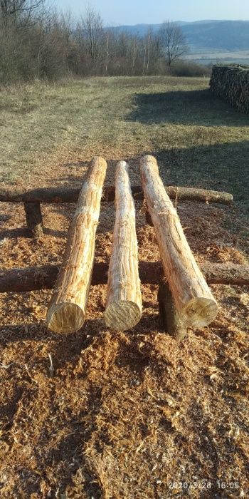 Żerdzie, słupki modrzewiowe