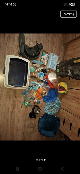 Dla psa to co na zdjęciach