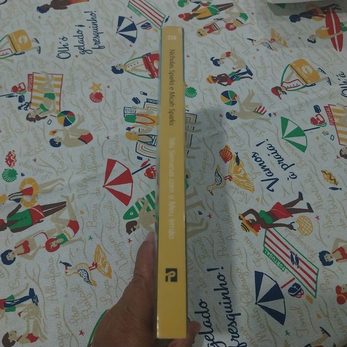 Três semanas com o meu irmão.  Portes incluídos