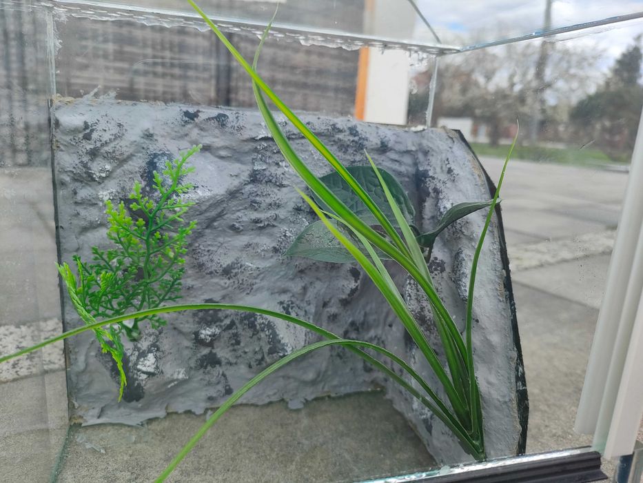 Terrarium M1 dla pająka, ptasznik, skorpion 20x18x20