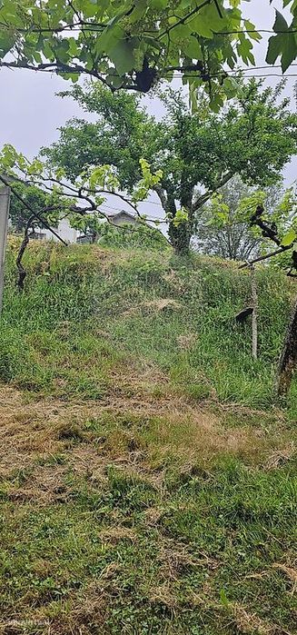 Terreno  para venda