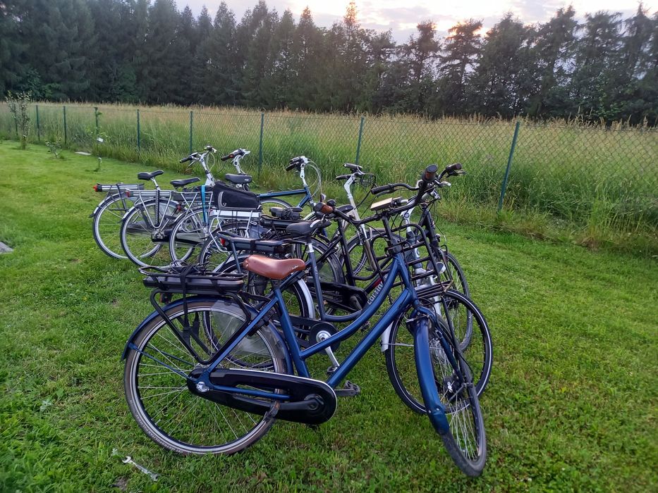 Rowery elektryczne sparta gazella,batavus,Stella,cortina