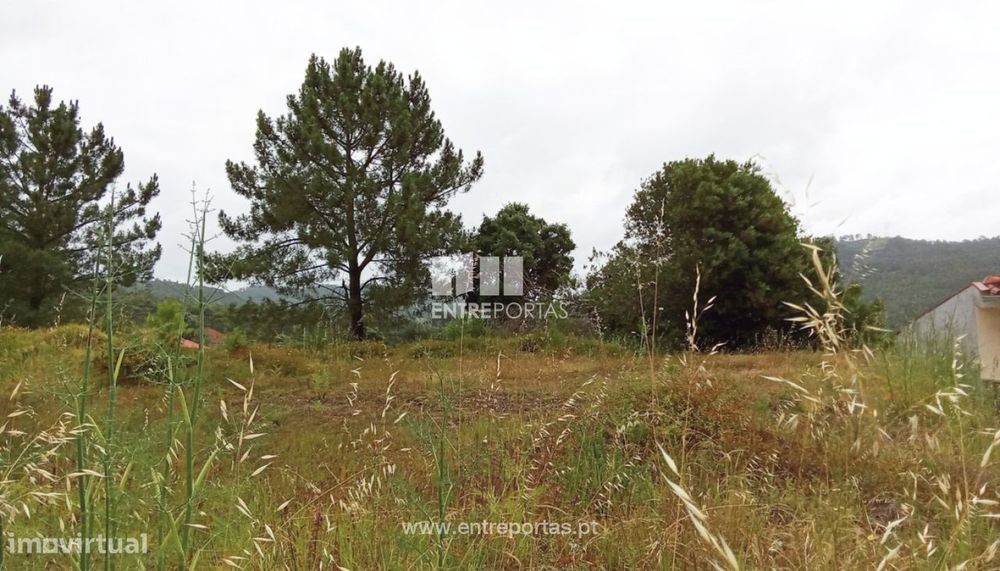 Venda de Lote, Mujães, Viana do Castelo