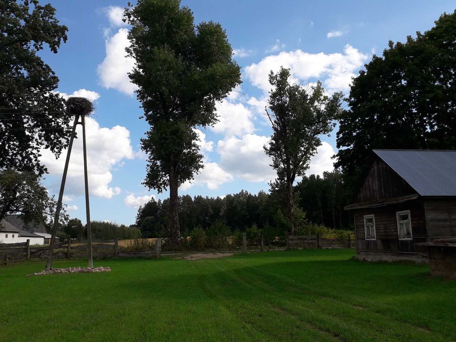 siedlisko na Podlasiu