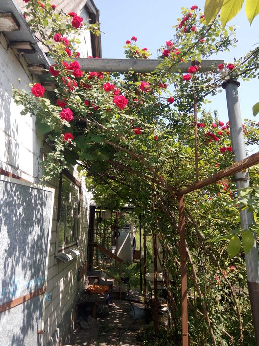 Дача  СТ Дніпро с. Благодатне