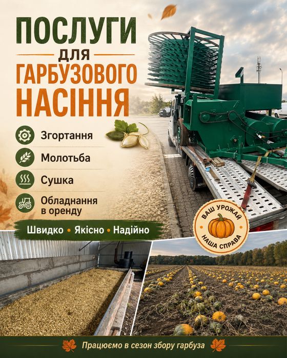 Надам послуги із збирання, згортання та сушки гарбузового насіння