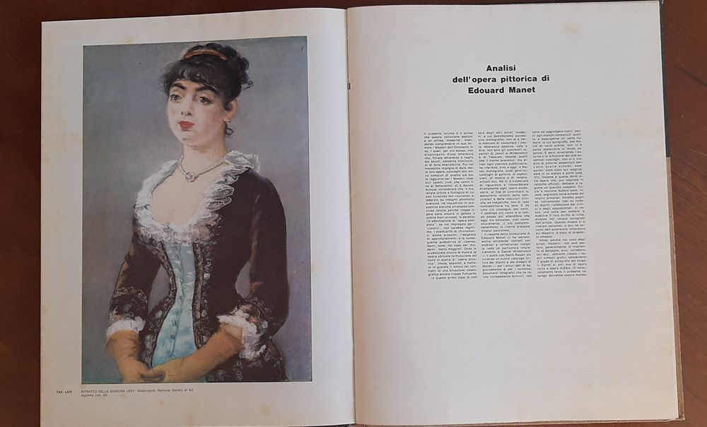 Livro sobre Edouard Manet