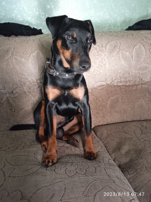 Шукаю пару для душі.