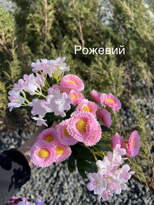 Квіти для декору маргаритки естетичний декор