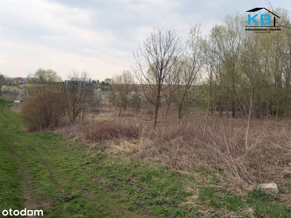 Działka, Masłomiąca