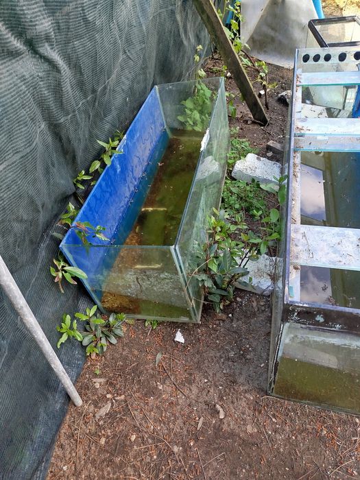 Vendo ou troco por aves do meu interesse tf 932832159 aquários de  vários tamanhos