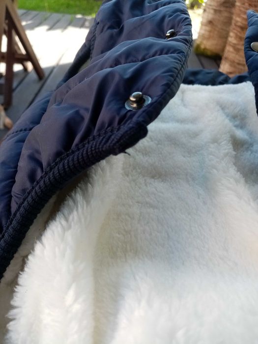 Casaco acolchoado de cão novo