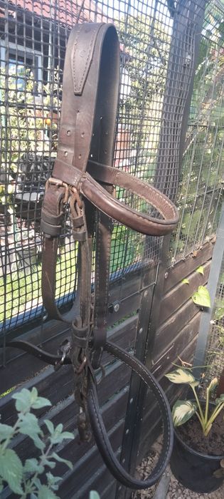 Uzda z prawdziwej skóry, zaprzęg, bryczka