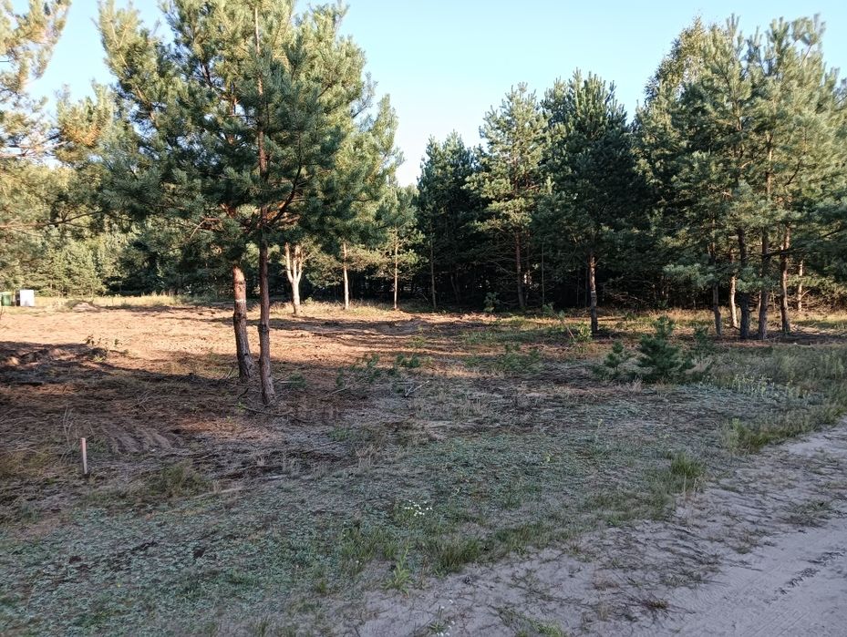 Szembekowo Osada Sęk Budowlana 1000m2 Las Jezioro Rzeka,12km od Torunia,115000zł,Uzbrojona!!Strefa Uzupełnienia Zabudowy OUZ
