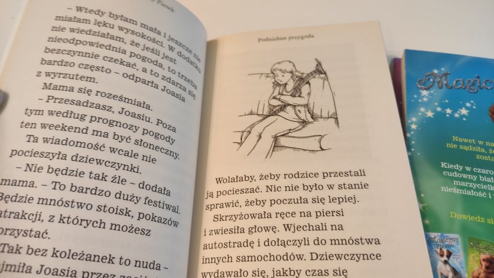 Mały piesek szuka przyjaźń książki dla dzieci psy Sue Bentley zestaw
