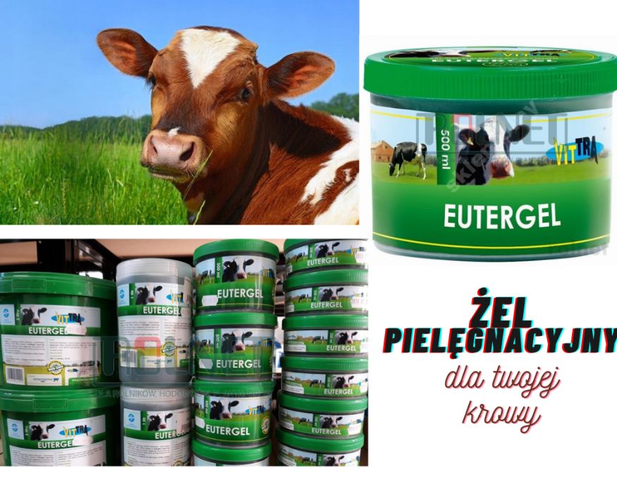 Żel o działaniu odkażającym rozgrzewającym pielęgnującym Euter 500ml