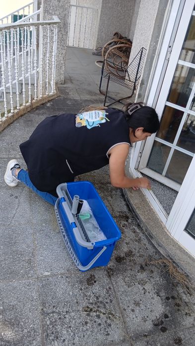 Limpezas profissionais