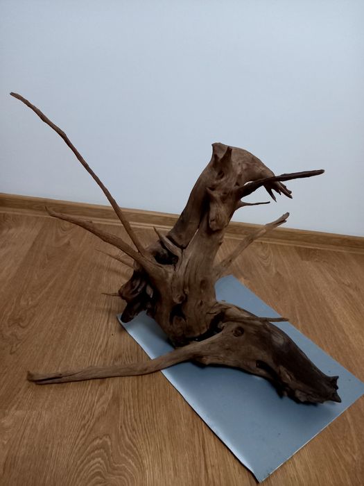 Аквариумы 117л, 200л, 300л. Коряги.