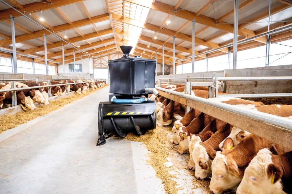 Robot do podgarniania paszy w oborze Boumatic Butler Gold, robot na stół paszowy