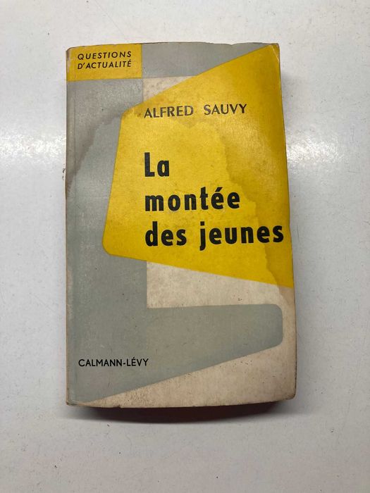 Livro (Francês) - La Montée des Jeunes (ctt editorial grátis)