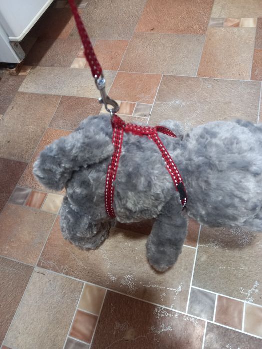 Шлейка для собачки маленькой