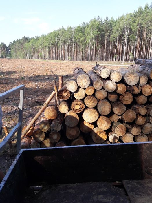 Sprzedam drzewo opałowe