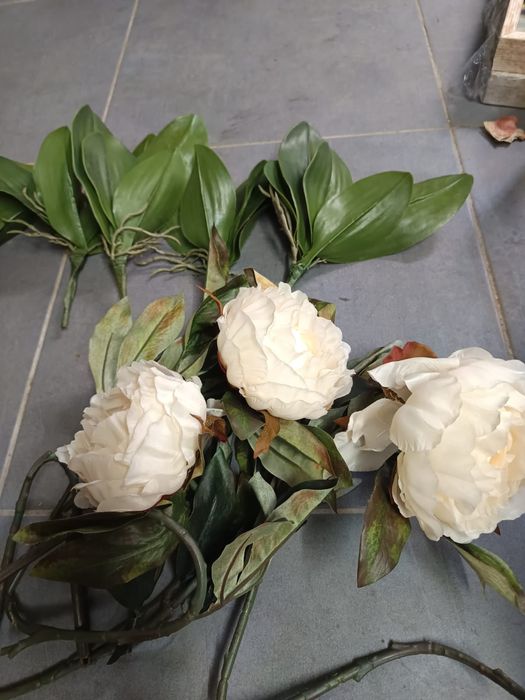 Vendo plantas decorativas