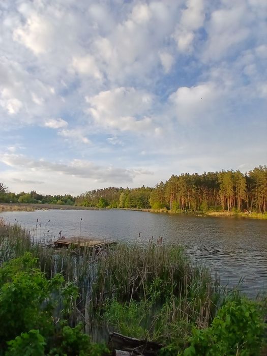 продаж газифікованого будинка