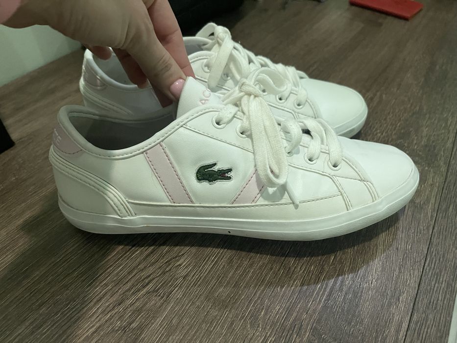 Кросівки лакоста