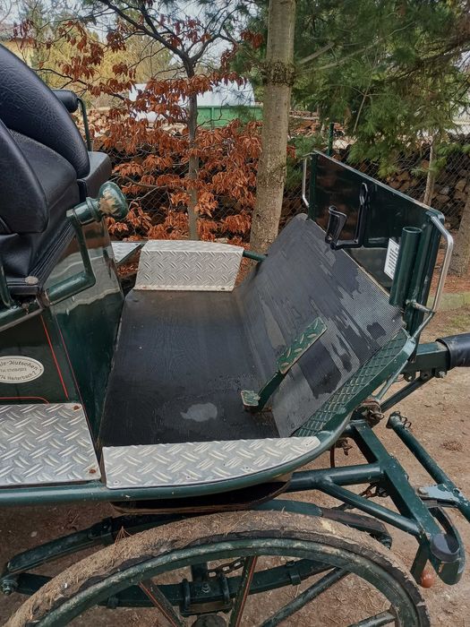 Piękna bryczka rekreacyjna-Wagonetka