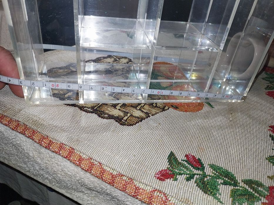 Gablota pułka lustrous