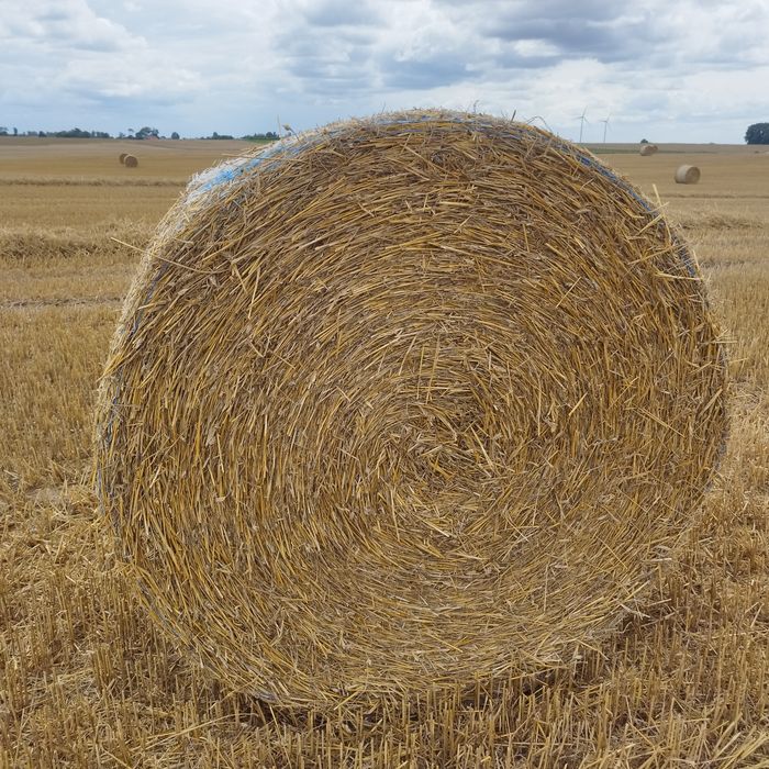 Sprzedam sianokiszonkę oraz siano i słomę