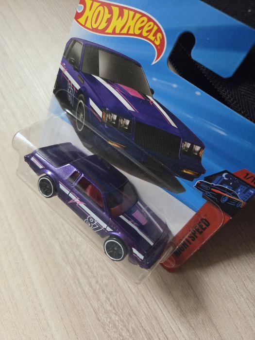 Hot wheels '87 buick regal 9/250 Treasure Hunt