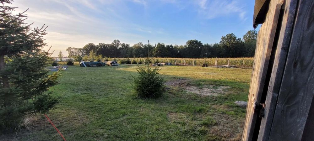 Działka budowlana Teodorów gm. Skórzec 1492 m² - Widok 3