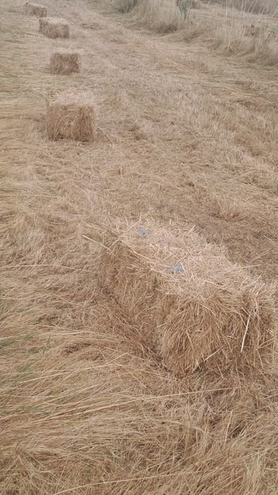 Fardos  de palha 2.5€