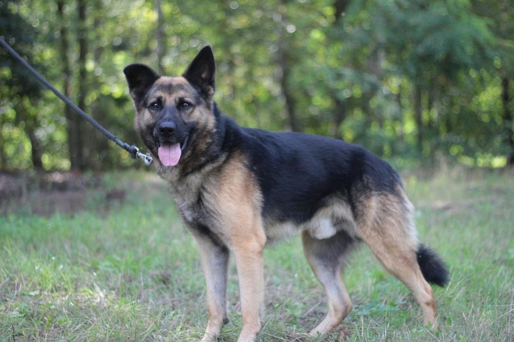 Maxym tak długo czeka, prosimy o dom