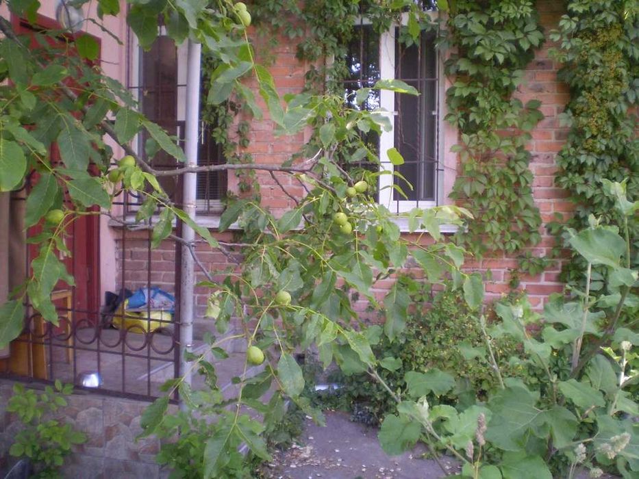 Житлове приміщення під пекарню дім літніх садок школу пансіон клініку