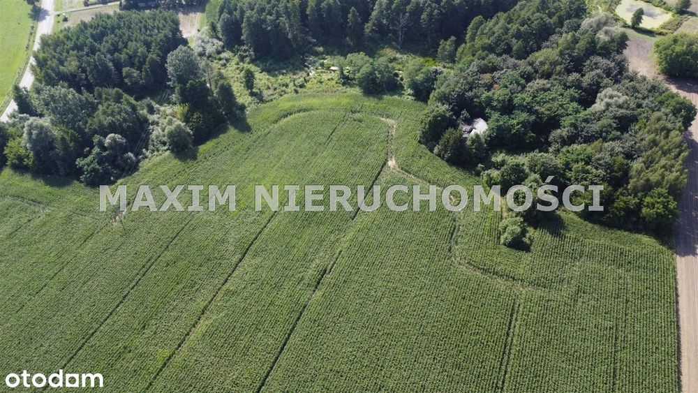 Działki z WZ nad rzeką Miszewko gm.Bodzanów - Widok 4