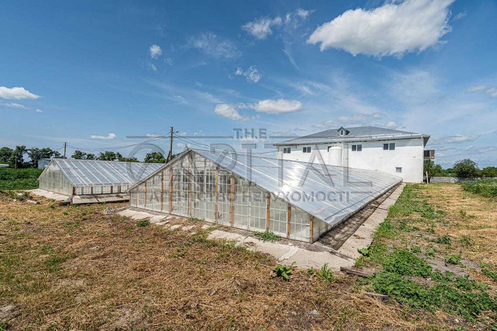 Продажа фермы, с. Русанов, Броварской р-н