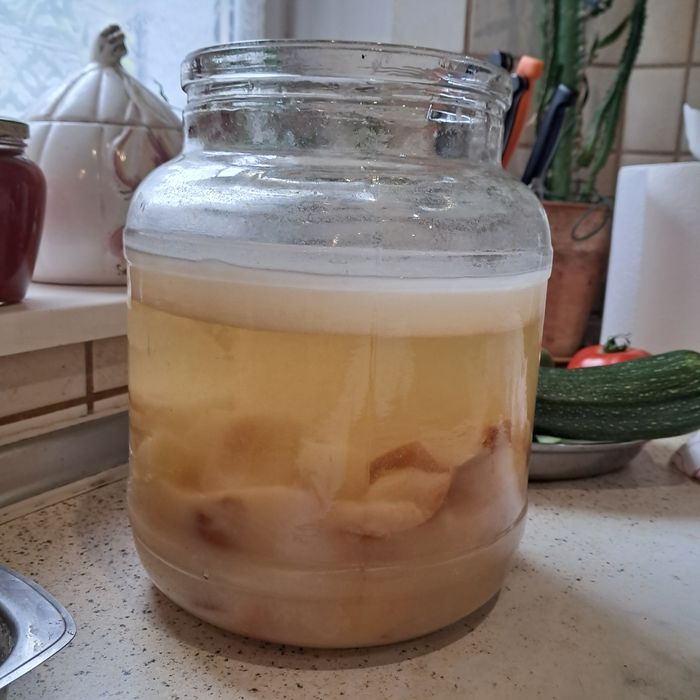 Matka octowa, starter, żywy ocet