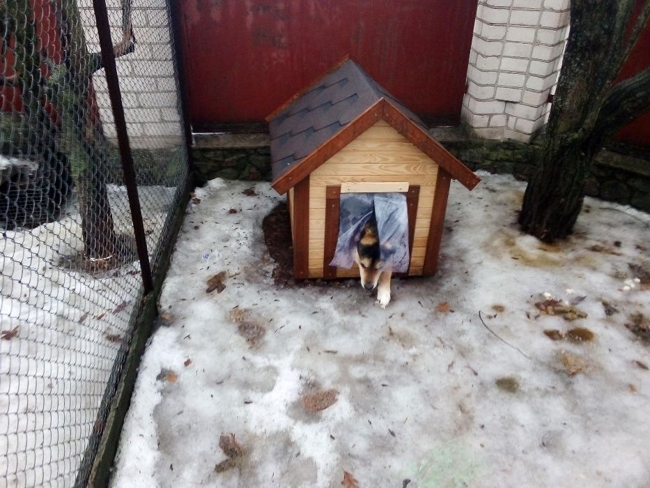 ШТОРКА для собачьей будки