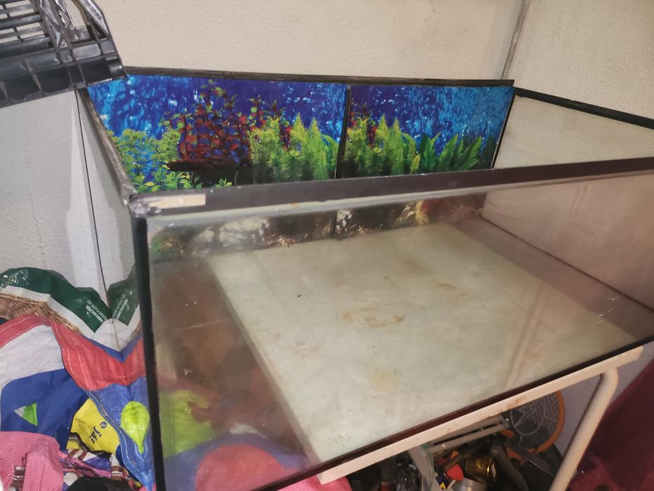 Vendo aquário  para peixes ou tartaruga