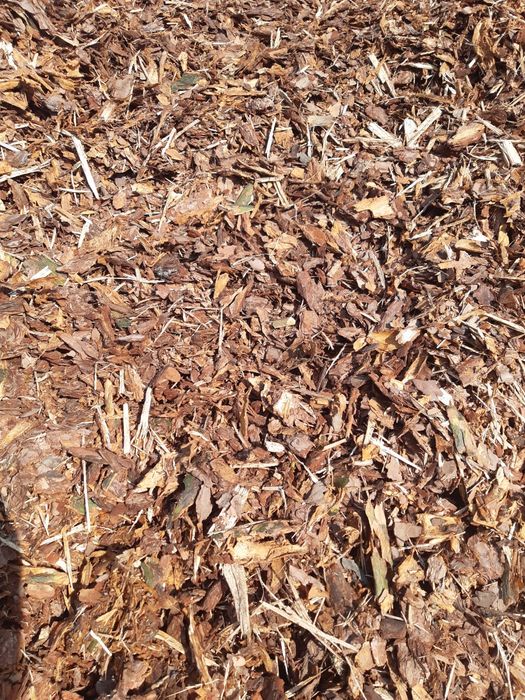 Kora sosnowa swieża pachnąca 80l worek 15zl