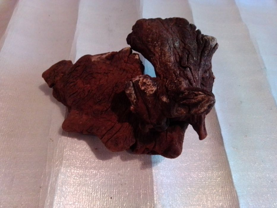 Korzeń do terrarium, akwarium