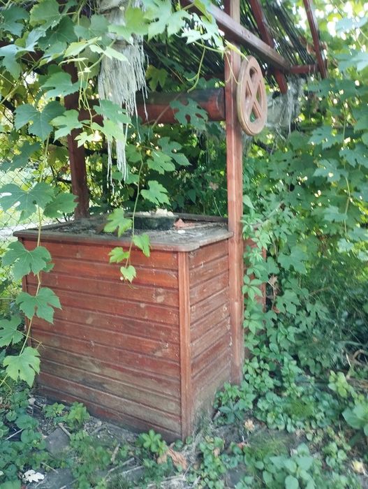 Продам дом Закарпатье Гать возле леса
