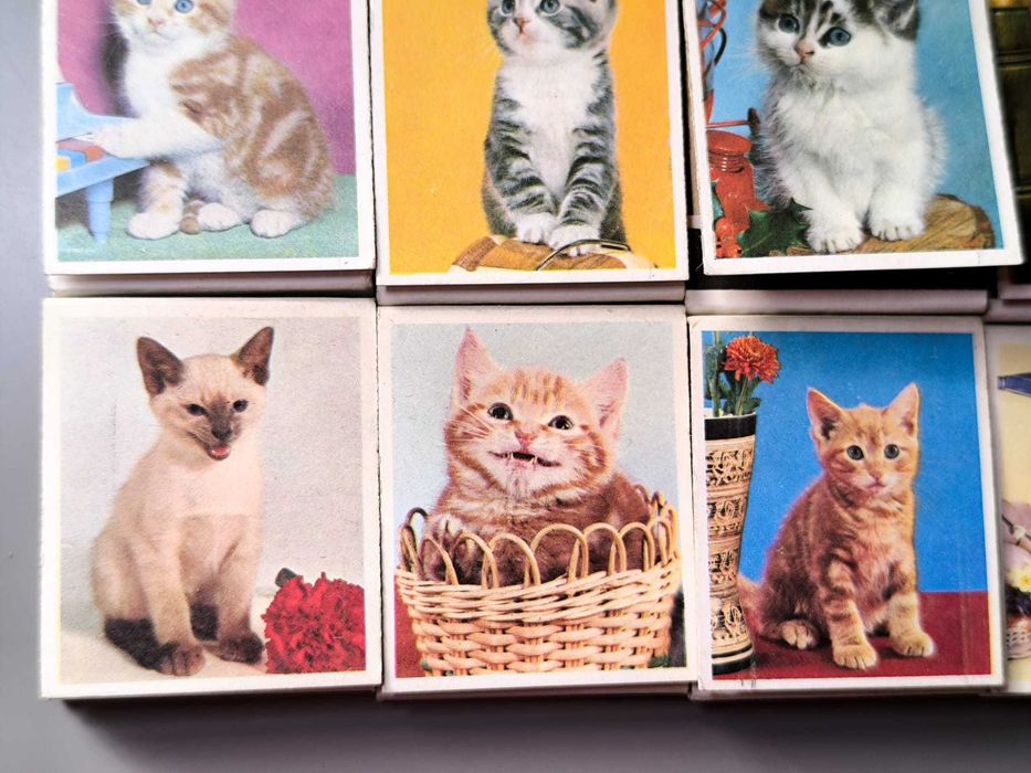 Coleção Fósforos Série Gatos - Estado Impecável