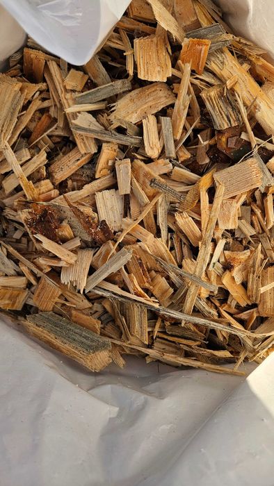 Zrębka sosnowa (drzewna, ogrodowa, dekoracyjna, świeża, opałowa)