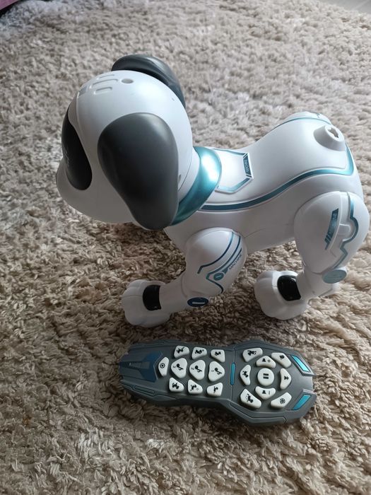 Cão Robot Zoko Speed Wheels