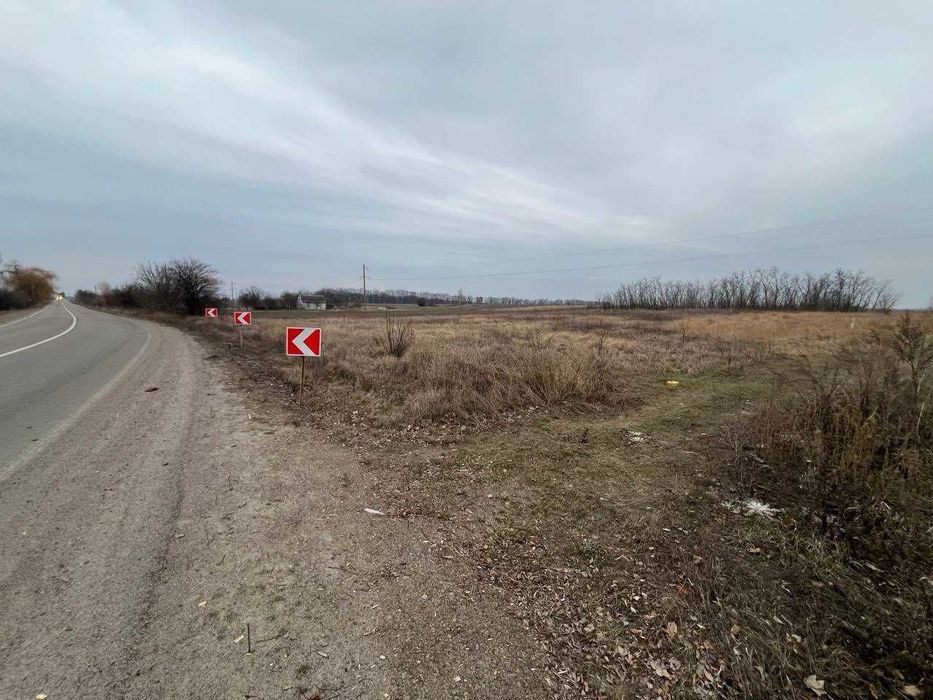 Продаж великої земельної ділянки в с. Софіївка