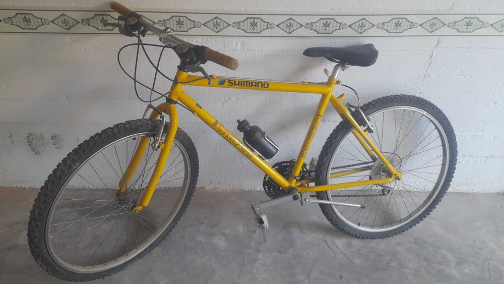 Bicicleta montanha